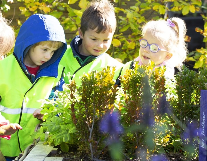 Nursery class in the Physic Garden looking at  herbs