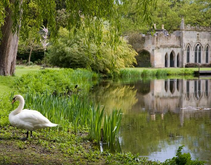 The garden at Frogmore House