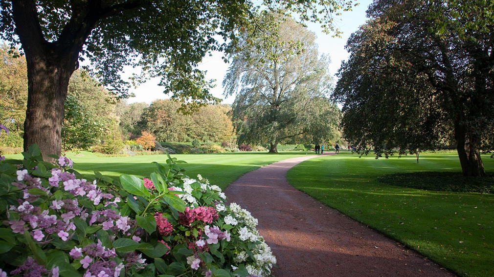 Lawn and flowers and path 