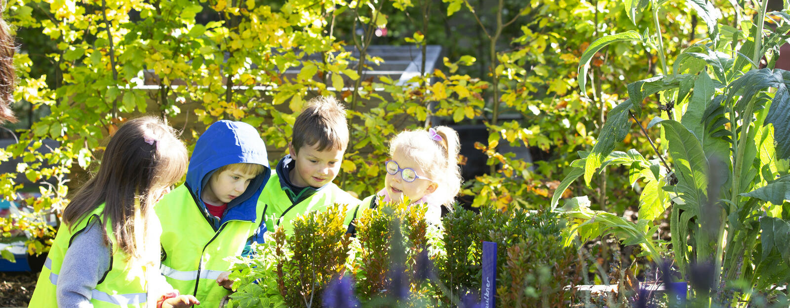 Children in the Physic Garden