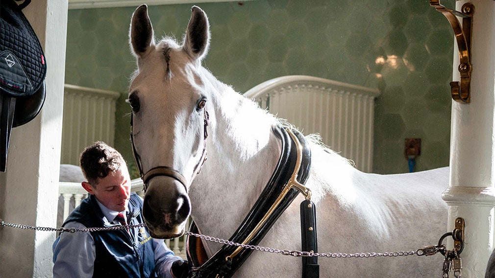 Horses in the State Stables