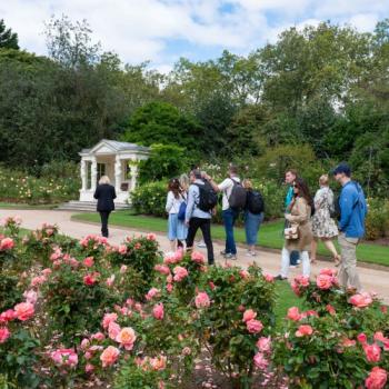 Visitors on a Garden Highlights Tour