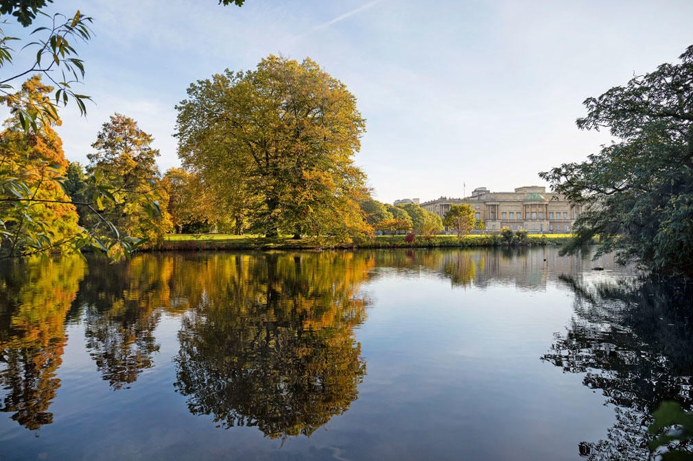 Buckingham Palace viewed from across the garden's lake. Photographer: John Campbell