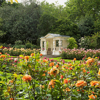 Buckingham Palace garden